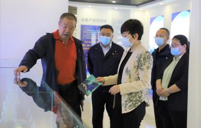 市委常委、宣传部部长韦青到宝泰隆走访调研